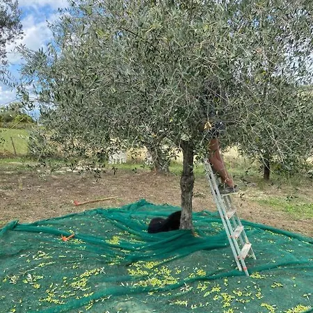 Tramontana Vista Castilenti