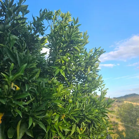 Tramontana Vista Bed & Breakfast 3*