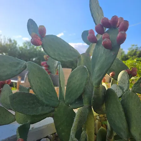 Tramontana Vista Nocleg ze śniadaniem