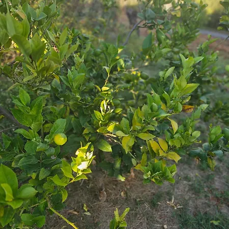 Bed & Breakfast Tramontana Vista 3*