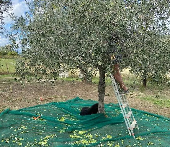 Tramontana Vista Castilenti