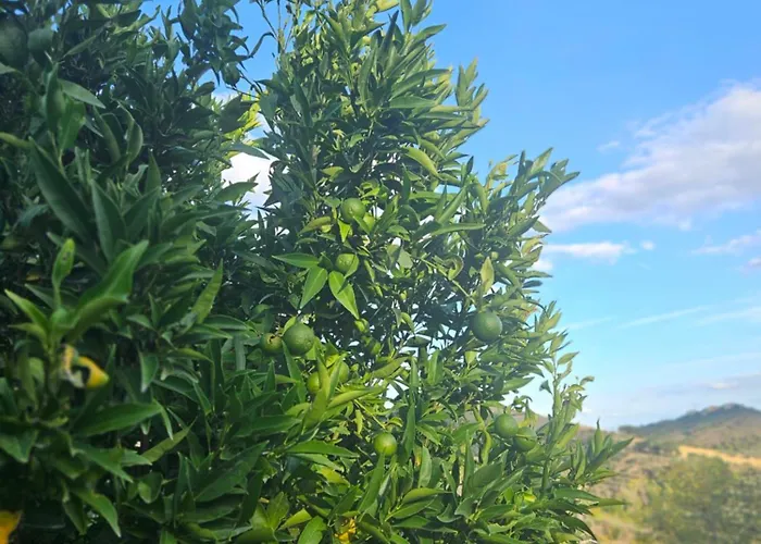 Tramontana Vista Отель типа 