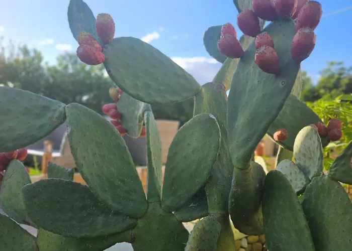 Tramontana Vista Отель типа 